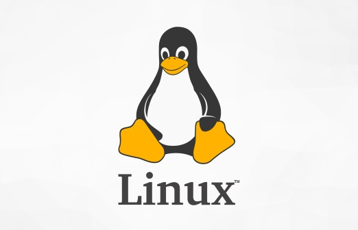 linux云主机怎么使用，linux云主机操作教程